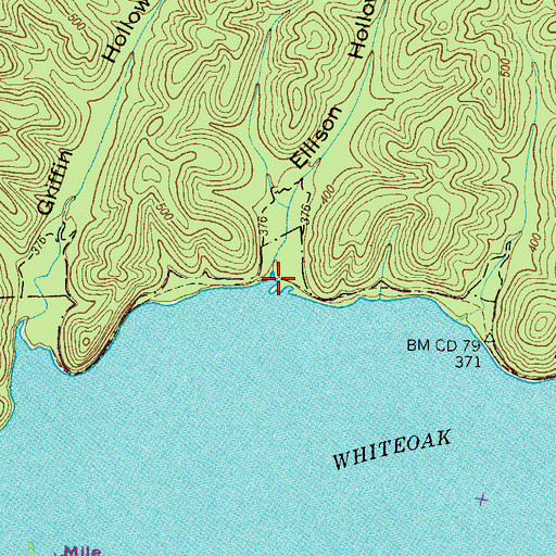 Topographic Map of Ellison Hollow, TN