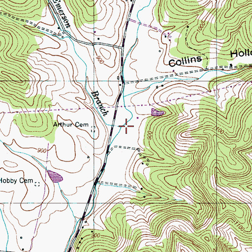 Topographic Map of Emerson Branch, TN