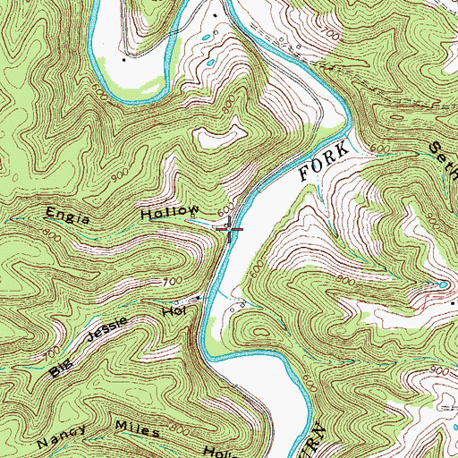 Topographic Map of Engia Hollow, TN
