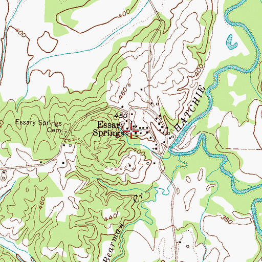 Topographic Map of Essary Springs, TN