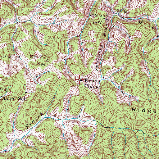 Topographic Map of Evans Chapel, TN