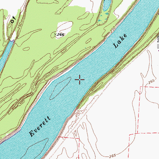 Topographic Map of Everett Lake, TN