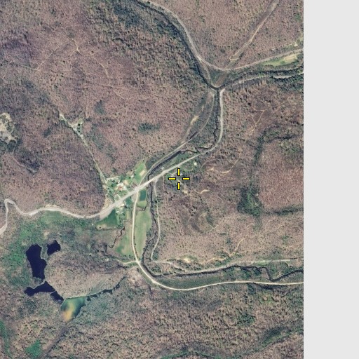 Aerial/Satellite Image of Ewing School, TN