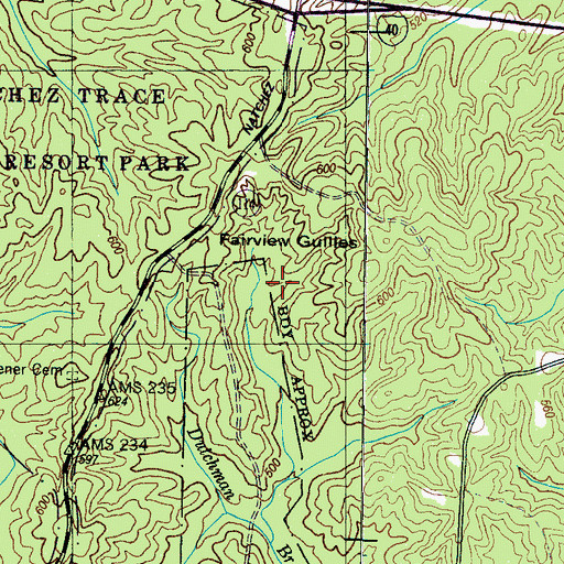 Topographic Map of Fairview Gullies, TN