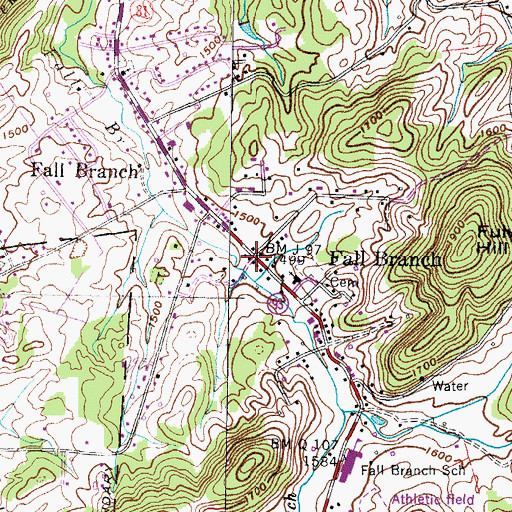 Topographic Map of Fall Branch, TN
