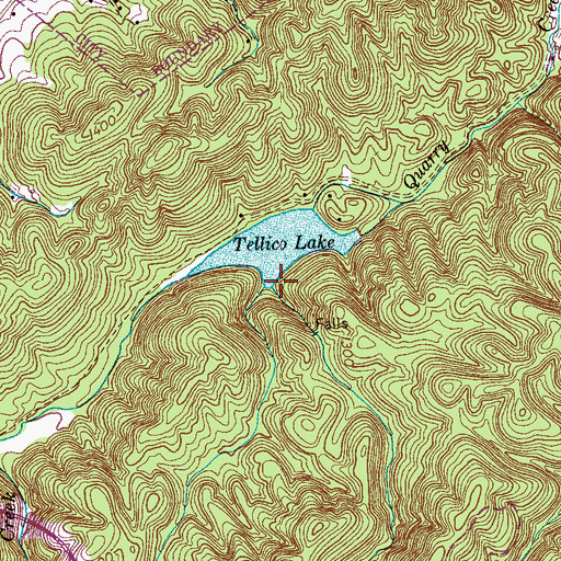 Topographic Map of Fall Branch, TN