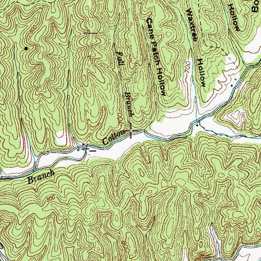 Topographic Map of Fall Branch, TN