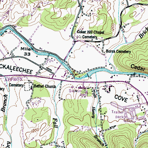 Topographic Map of Fall Branch, TN