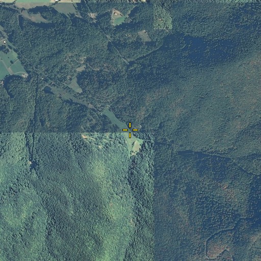 Aerial/Satellite Image of Fall Branch, TN