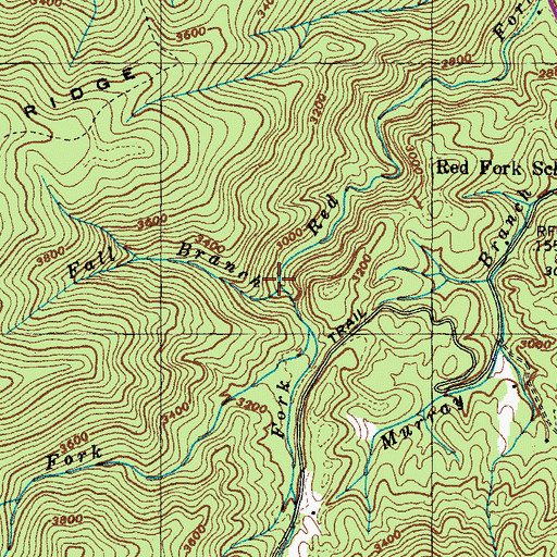 Topographic Map of Fall Branch, TN