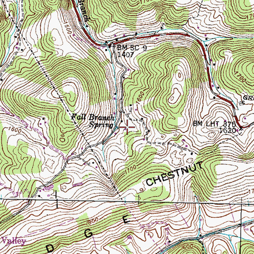 Topographic Map of Fall Branch Spring, TN
