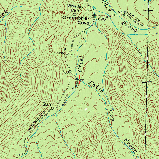 Topographic Map of False Gap Prong, TN