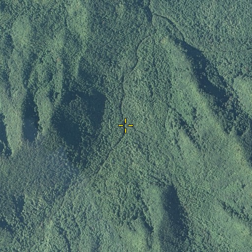 Aerial/Satellite Image of False Gap Prong, TN