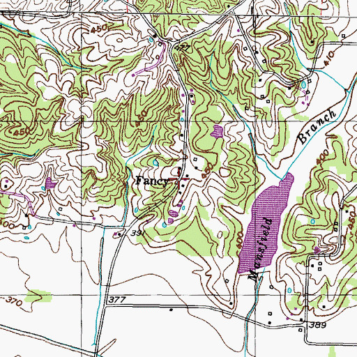 Topographic Map of Fancy, TN