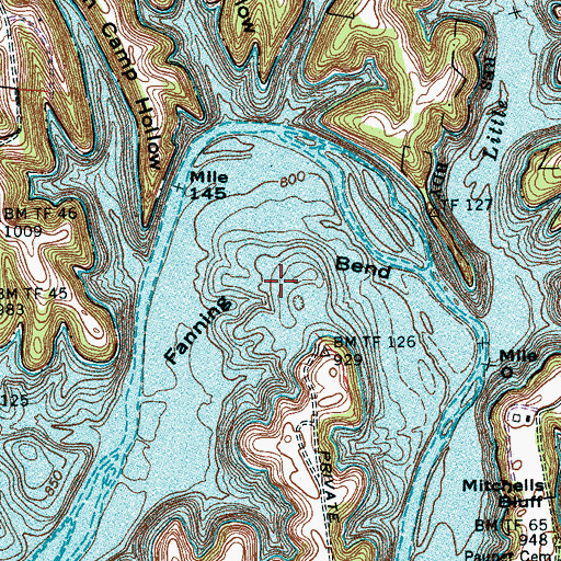 Topographic Map of Fanning Bend, TN