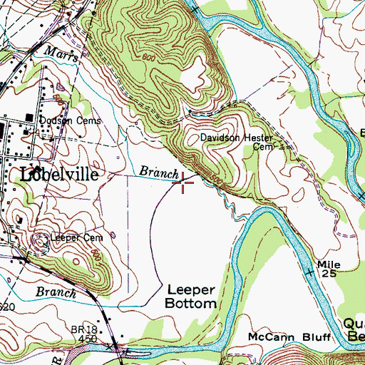 Topographic Map of Ferguson Branch, TN