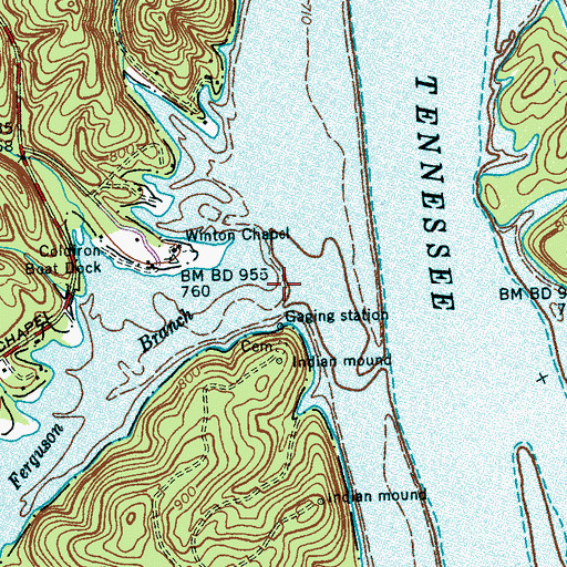 Topographic Map of Ferguson Branch, TN