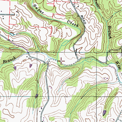 Topographic Map of Ferguson Branch, TN