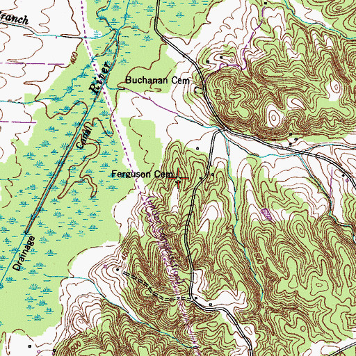 Topographic Map of Ferguson Cemetery, TN