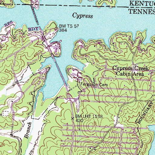 Topographic Map of Ferguson Cemetery, TN