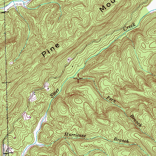Topographic Map of Fern Branch, TN