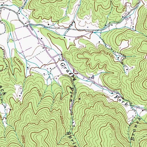 Topographic Map of Fern Springs Branch, TN
