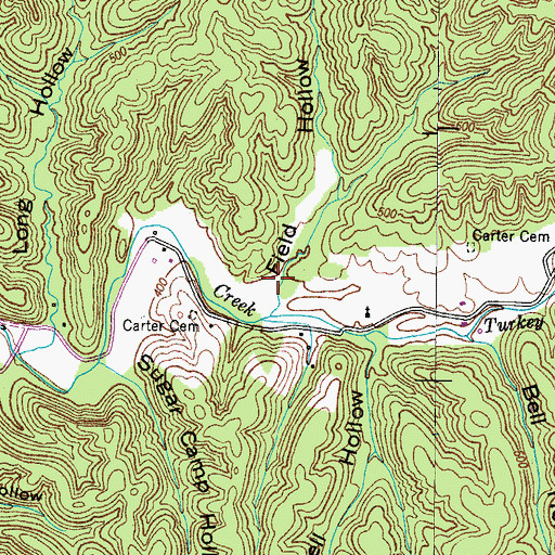 Topographic Map of Field Hollow, TN