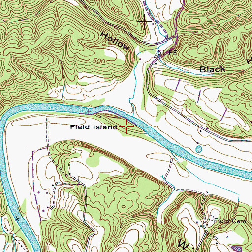 Topographic Map of Field Island, TN