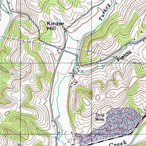Topographic Map of Fields Hollow, TN