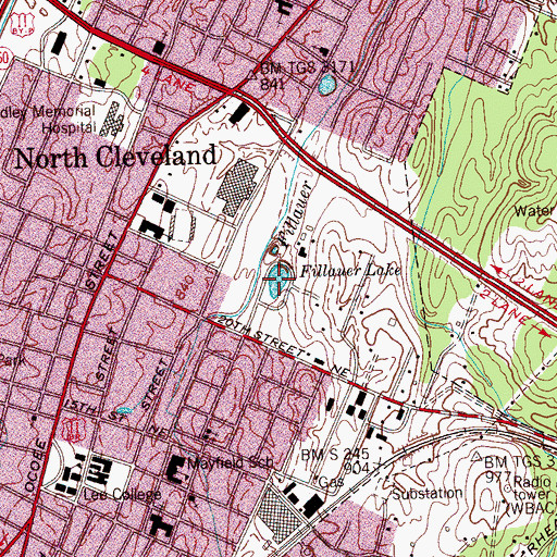 Topographic Map of Fillauer Lake, TN