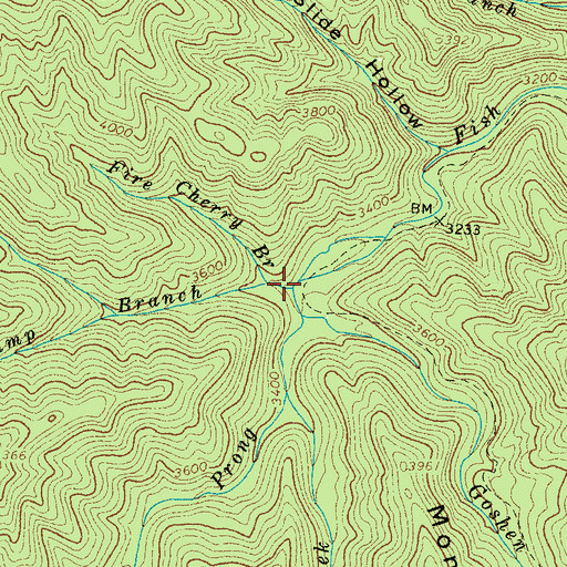 Topographic Map of Fire Cherry Branch, TN