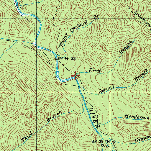 Topographic Map of First Branch, TN