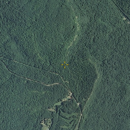 Aerial/Satellite Image of First Branch, TN