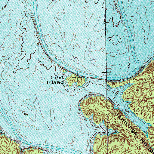 Topographic Map of First Island, TN