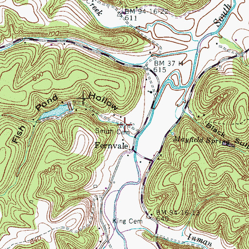 Topographic Map of Fish Pond Hollow, TN