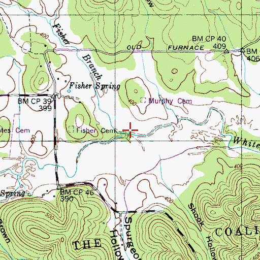 Topographic Map of Fisher Branch, TN