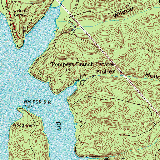 Topographic Map of Fisher Hollow, TN