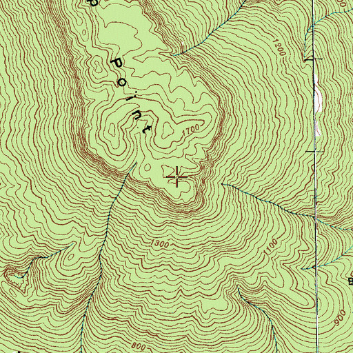 Topographic Map of Fishtrap Point, TN