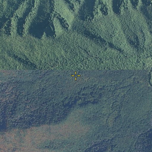 Aerial/Satellite Image of Fittified Spring, TN