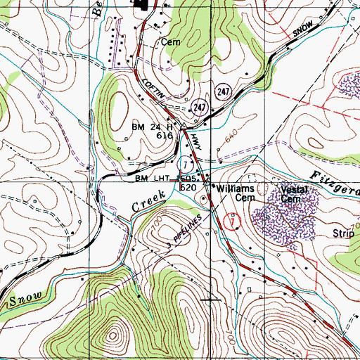 Topographic Map of Fitzgerald Branch, TN