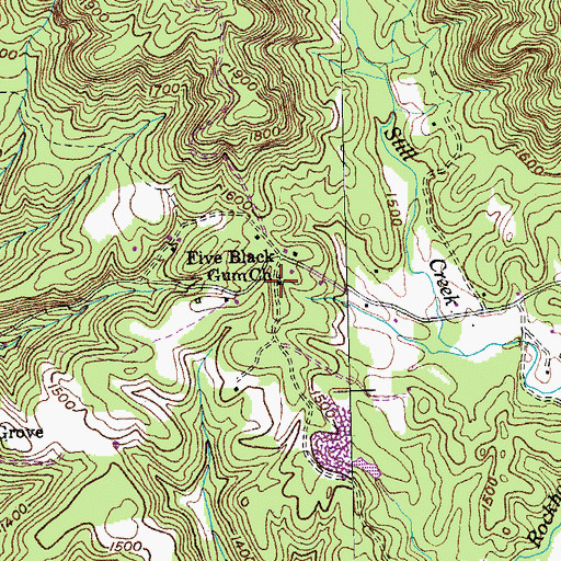 Topographic Map of Five Black Gum Church, TN