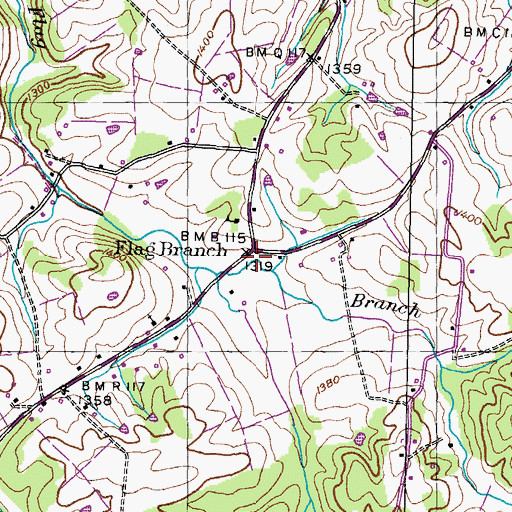 Topographic Map of Flag Branch, TN