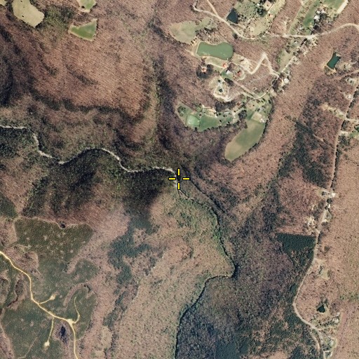 Aerial/Satellite Image of Flat Branch, TN