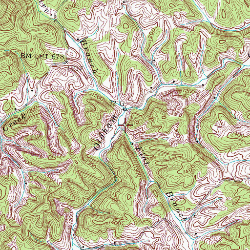 Topographic Map of Flat Branch, TN