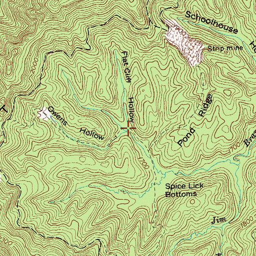 Topographic Map of Flat Cliff Hollow, TN