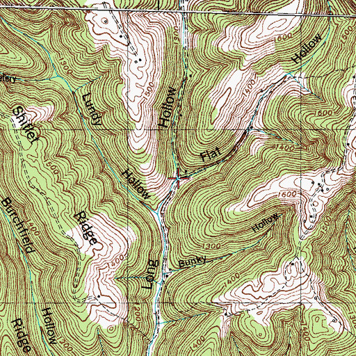 Topographic Map of Flat Hollow, TN