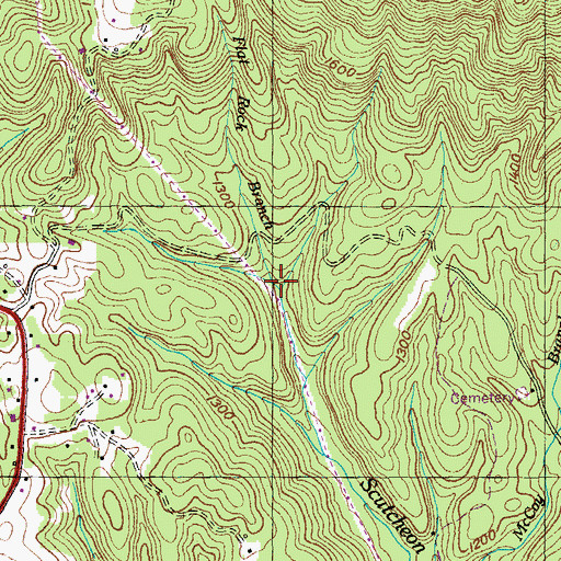 Topographic Map of Flat Rock Branch, TN