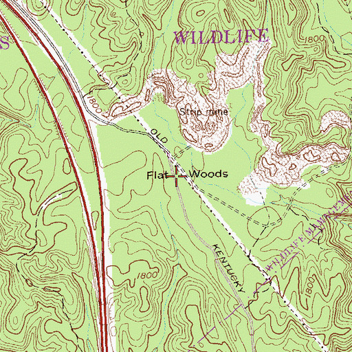 Topographic Map of Flat Woods, TN
