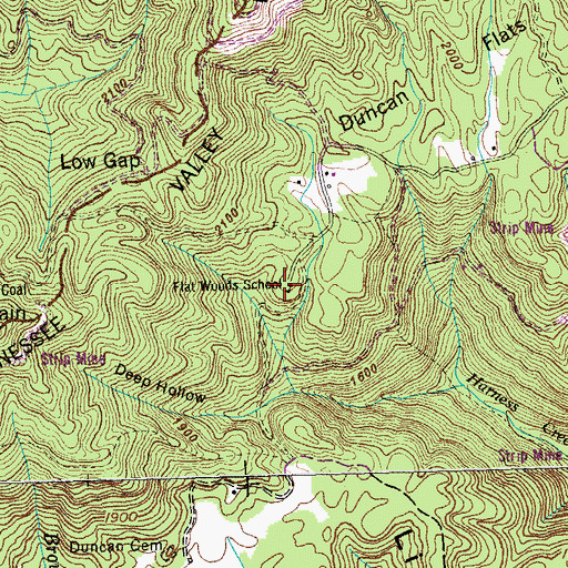 Topographic Map of Flat Woods School, TN
