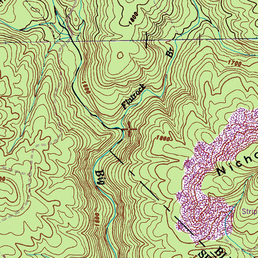Topographic Map of Flatrock Branch, TN